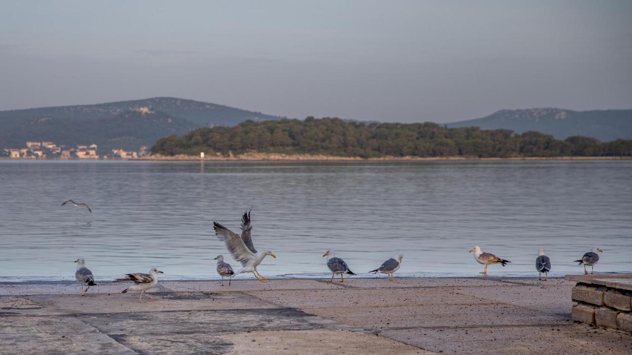 Apartmani Dina Biograd Na Moru Exterior foto