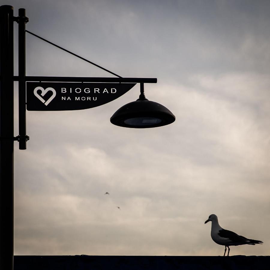 Apartmani Dina Biograd Na Moru Exterior foto